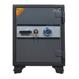 KÉT SẮT TRULY-60C